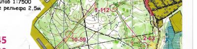 Orienteering map - МК 2024. 2 день