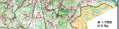 Orienteering map - МК 2024 (1день)
