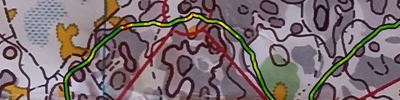 Orienteering map - Боровое 2024