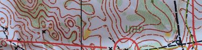 Orienteering map - 