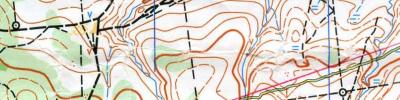 Orienteering map - Линия