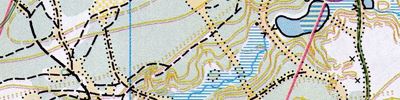 Orienteering map - Nizhny Novgorod region Championship. OMR. 1st lap