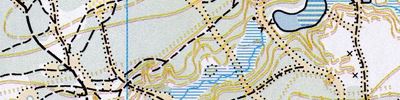 Orienteering map - Nizhny Novgorod region Championship. OMR. 2nd lap
