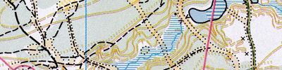 Orienteering map - Nizhny Novgorod region Championship. OMR. 3rd lap