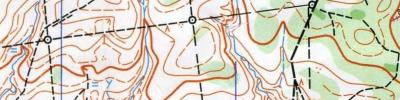 Orienteering map - Линия 2