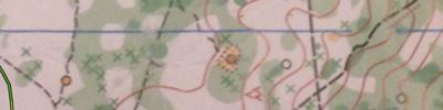 Orienteering map - Памяти Друзей, 2015