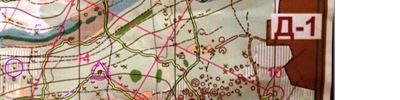 Orienteering map - Петрович трен