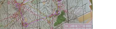 Orienteering map - Петрович трен