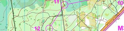 Orienteering map - Чемпионат России