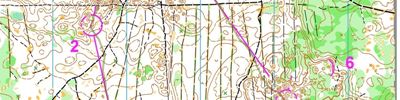 Orienteering map - ЧР (Пермь) 2015 - круг 3