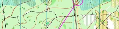 Orienteering map - ЧР (Пермь) 2015 - Гандикап