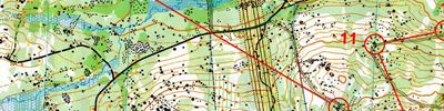 Orienteering map - Всероссийские соревнования