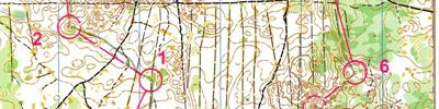 Orienteering map - Чемпионат России