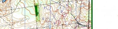 Orienteering map - Параллельная работа+з.н.