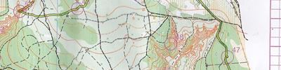 Orienteering map - Nizhny Novgorod region Championship. Choice