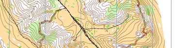 Orienteering map - О кубок города