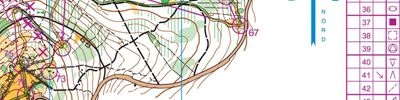 Orienteering map - Hessische Meisterschaften