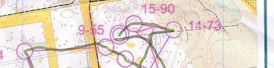Orienteering map - Дубравушка 2015. 1-й день. 4-й этап