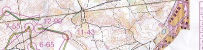 Orienteering map - Дубравушка 2015. 2-й день. 4-й этап (основная дистанция)