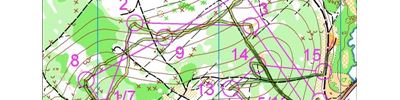 Orienteering map - Красный лист