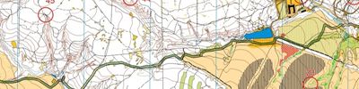 Orienteering map - Осенний Саранск-2015