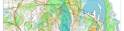 Orienteering map - Мордовский Марафон