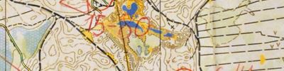 Orienteering map - Кубок брянской области