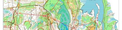 Orienteering map - Мордовский марафон- 2015
