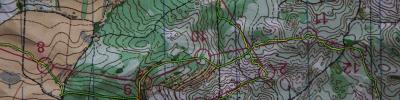 Orienteering map - Приз Пастухова