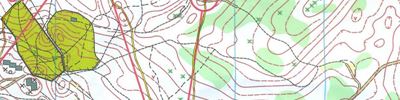 Orienteering map - Ночное-О