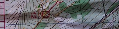 Orienteering map - Приз Пастухова