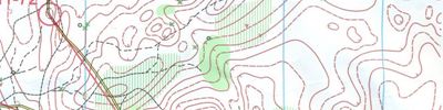 Orienteering map - Ночное-О