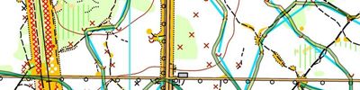 Orienteering map - 81 КП