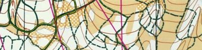 Orienteering map - SKI-O Барсуки 2 День длинная Дистанция 1