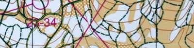 Orienteering map - SKI-O Барсуки 2 День длинная Дистанция 1