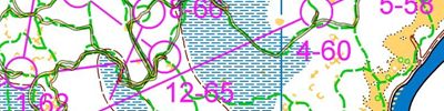 Orienteering map - Сенькинские встречи 2016