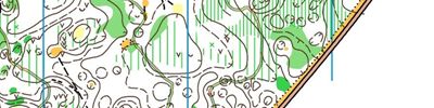 Orienteering map - ЧиП г. Чебоксары