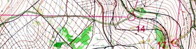 Orienteering map - Тренировка