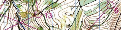 Orienteering map - Wellbachtal