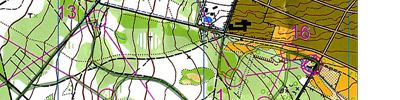 Orienteering map - Uhlandsruhe