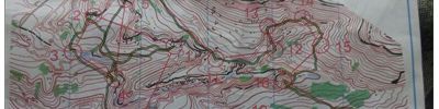 Orienteering map - УТС