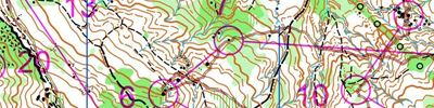 Orienteering map - Черное море 2016, классика