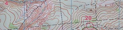 Orienteering map - Приз Пастухова