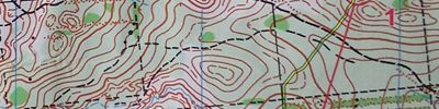 Orienteering map - Приз Пастухова WRE