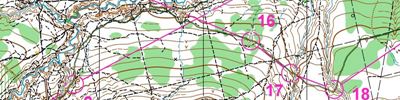 Orienteering map - Кубок России