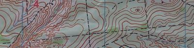 Orienteering map - Приз Пастухова-2016
