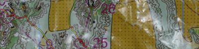 Orienteering map - Кубок Гродно первый день ЖЕСТЬ