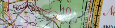 Orienteering map - Кубок грродно 2016. Лесной спринт.