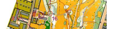 Orienteering map - Schlosspark Biebrich