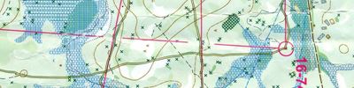 Orienteering map - Москомпас-2016
